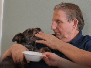 How a Lazy Pup Drinks Water
